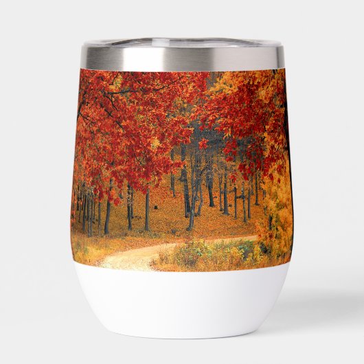 Herfst in het bos (Achterkant)
