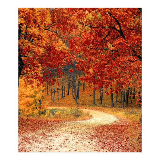 Herfst in het bos foto afdruk (Voorkant)