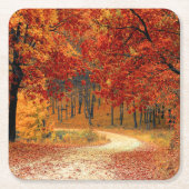 Herfst in het bos kartonnen onderzetters (Voorkant)