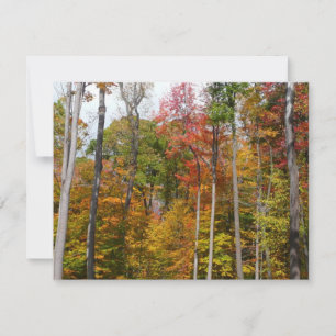 Herfst in het bos Kleurrijke herfstfotografie Kaart