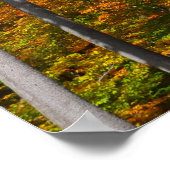 Herfst in het bos Kleurrijke herfstfotografie Poster (Hoek)