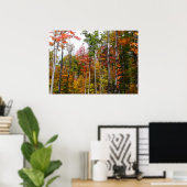 Herfst in het bos Kleurrijke herfstfotografie Poster (Thuiskantoor)