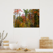 Herfst in het bos Kleurrijke herfstfotografie Poster (Keuken)