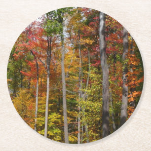 Herfst in het bos Kleurrijke herfstfotografie Ronde Kartonnen Onderzetter