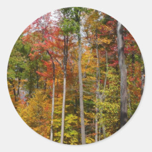 Herfst in het bos Kleurrijke herfstfotografie Ronde Sticker