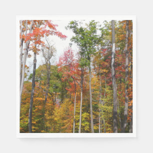 Herfst in het bos Kleurrijke herfstfotografie Servet