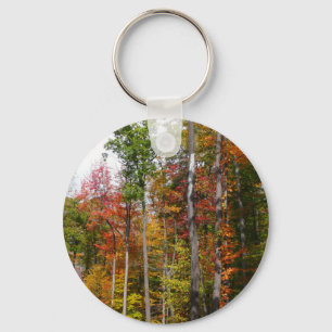 Herfst in het bos Kleurrijke herfstfotografie Sleutelhanger