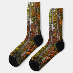 Herfst in het bos Kleurrijke herfstfotografie Sokken
