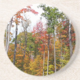 Herfst in het bos Kleurrijke herfstfotografie Zandsteen Onderzetter