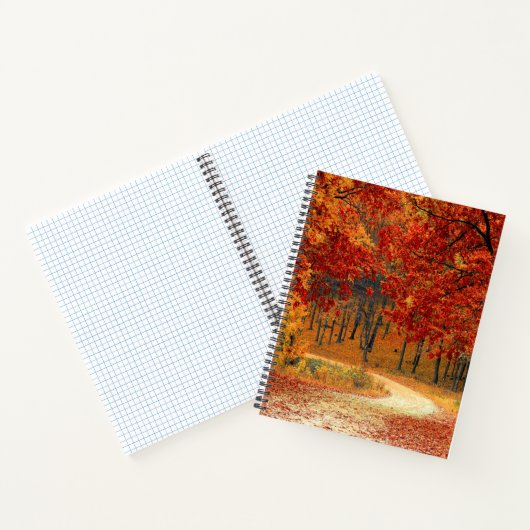 Herfst in het bos notitieboek (Binnen)