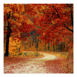Herfst in het bos perfect poster