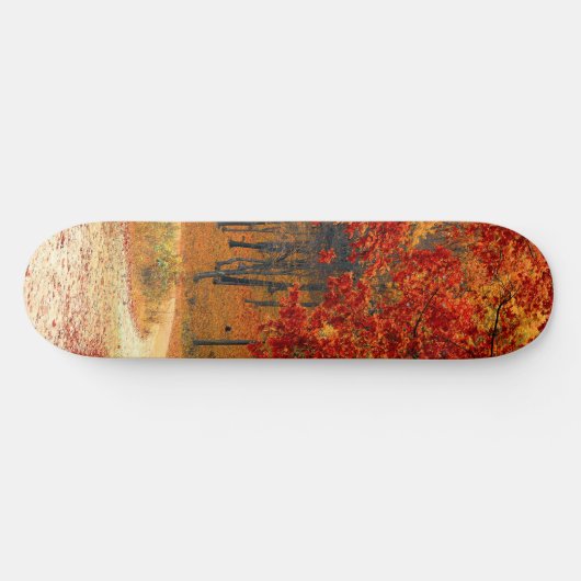 Herfst in het bos persoonlijk skateboard (Horizontaal)