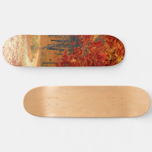 Herfst in het bos persoonlijk skateboard (Horizontaal)