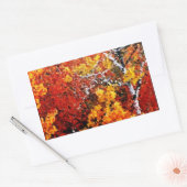 Herfst in het bos - Stickers voor het schilderen v (Envelop)