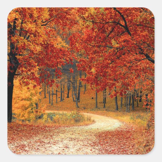 Herfst in het bos vierkante sticker (Voorkant)