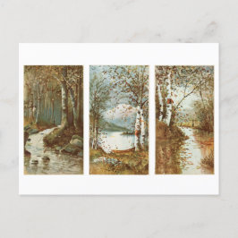 Herfst in het  Briefkaart van het bos