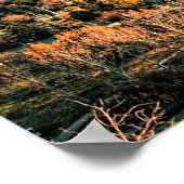 Herfst in het Edmonton Poster (Hoek)