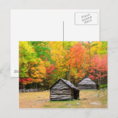 Herfst in het Grote Smoky-gebergte Briefkaart (Voorkant / Achterkant)