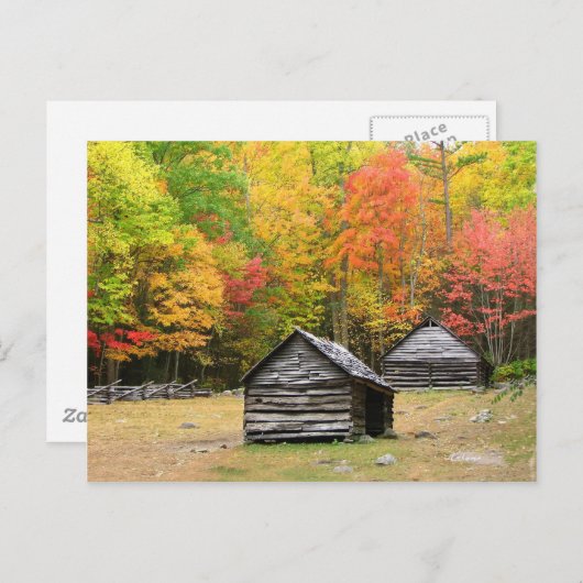 Herfst in het Grote Smoky-gebergte Briefkaart (Voorkant / Achterkant)