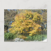 Herfst in het Midwesten Briefkaart (Voorkant)