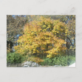Herfst in het Midwesten Briefkaart