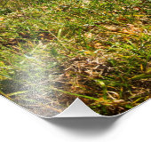 Herfst in het Nationaal Park Shenandoah, Virginia Foto Afdruk (Hoek)