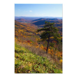 Herfst in het Nationaal Park Shenandoah, Virginia Foto Afdruk