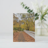 Herfst in het oude park. Ansichtkaart Briefkaart (Staand voorkant)