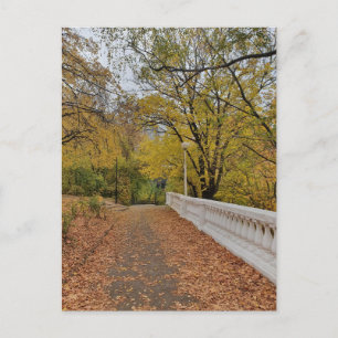 Herfst in het oude park. Ansichtkaart Briefkaart