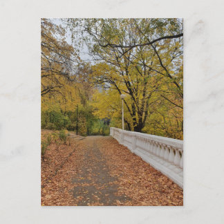 Herfst in het oude park. Ansichtkaart Briefkaart