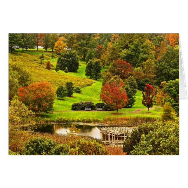 Herfst in het park (Voorkant Horizontaal)