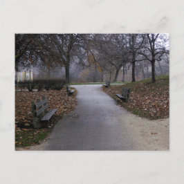 Herfst in het park briefkaart