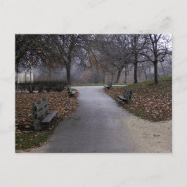 Herfst in het park briefkaart