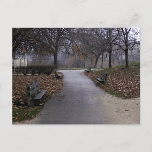 Herfst in het park briefkaart (Voorkant)