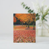 Herfst in het park briefkaart (Staand voorkant)
