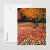 Herfst in het park briefkaart (Voorkant / Achterkant)