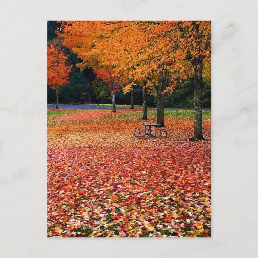 Herfst in het park briefkaart (Voorkant)