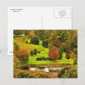 Herfst in het park briefkaart (Voorkant / Achterkant)