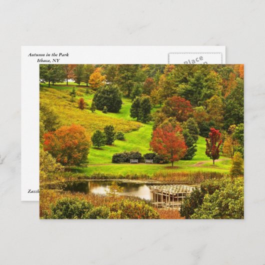 Herfst in het park briefkaart (Voorkant / Achterkant)