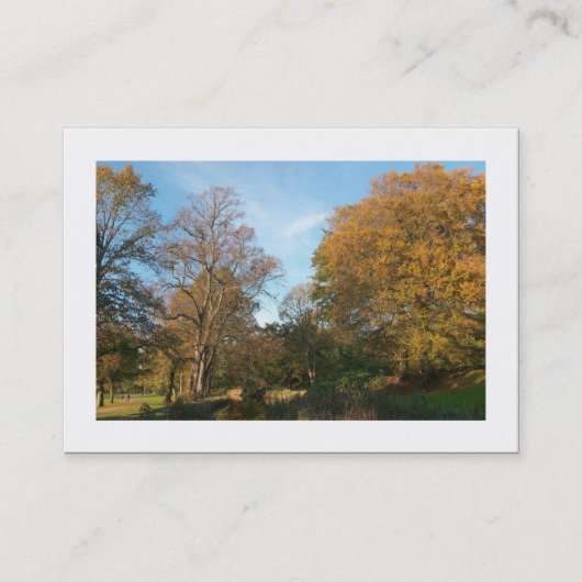 Herfst in het park (grens) visitekaartje (Voorkant)