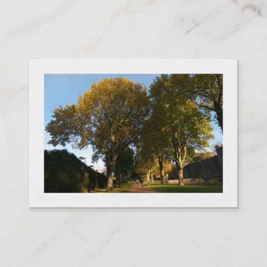 Herfst in het park (grens) visitekaartje (Voorkant)