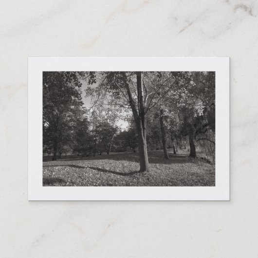 Herfst in het park (grens) visitekaartje (Voorkant)