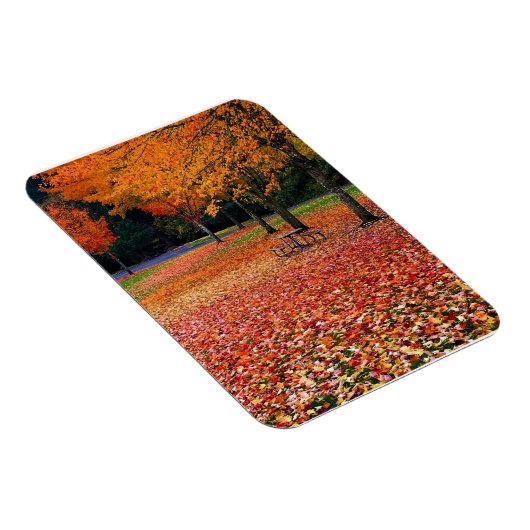 Herfst in het park magneet (Rechterzijde)
