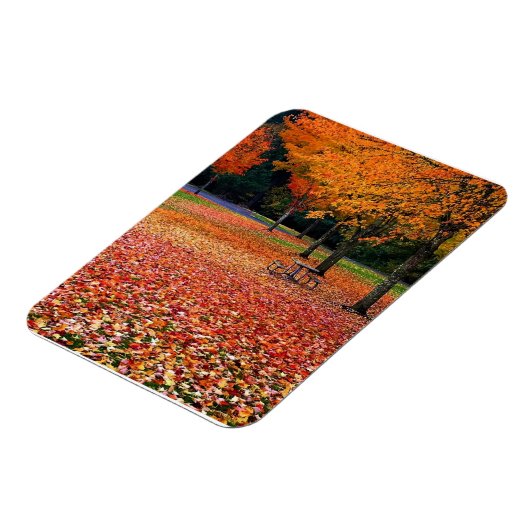 Herfst in het park magneet (Linkerzijde)