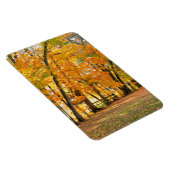 Herfst in het park met houten voetgangersbrug magneet (Rechterzijde)