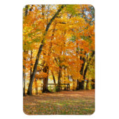 Herfst in het park met houten voetgangersbrug magneet (Verticaal)