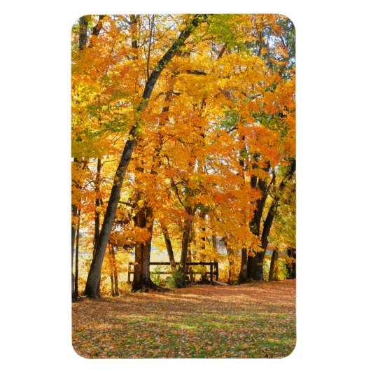 Herfst in het park met houten voetgangersbrug magneet (Verticaal)