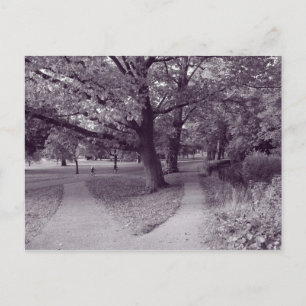 Herfst in het park - Paarse Toned BW Briefkaart