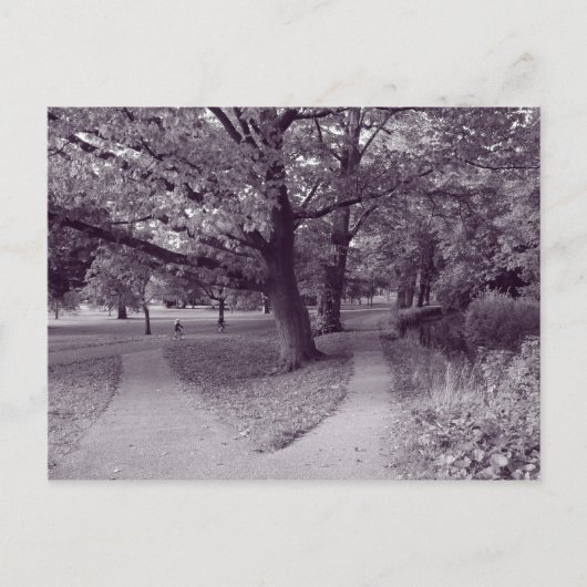 Herfst in het park - Paarse Toned BW Briefkaart (Voorkant)