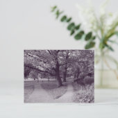Herfst in het park - Paarse Toned BW Briefkaart (Staand voorkant)